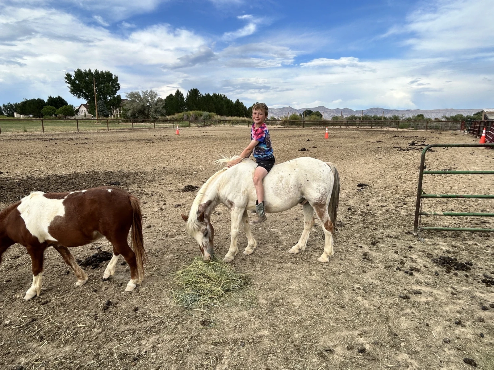 Young boy riding a white pony in a dirt arena