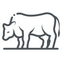Line icon of a cow standing Line icon of a cow standing