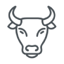 Line icon of a bull head with horns